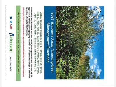 2021 Alabama Auxin Training-Best Management Practices