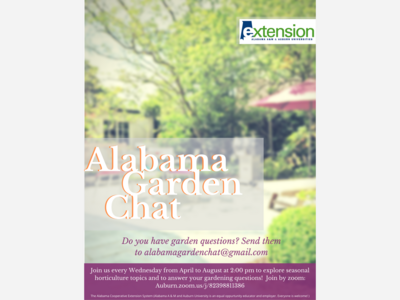 The Alabama Cooperative Extension System to host Alabama Garden Chat through Summer
